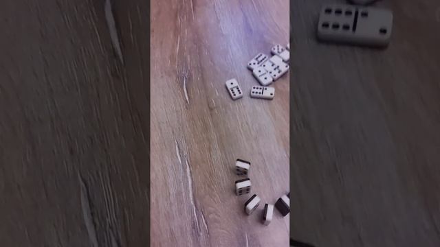 Domino's avalanche смотреть онлайн
