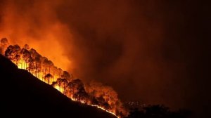 Звук пожара / Fire sound - Галерея Звуков