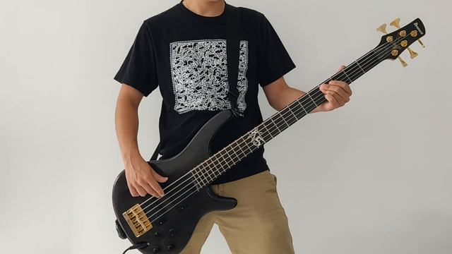 DEFTONES - Be quiet and drive - BASS COVER смотреть онлайн