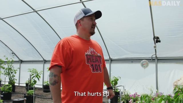 Spiciest Pepper In The World смотреть онлайн