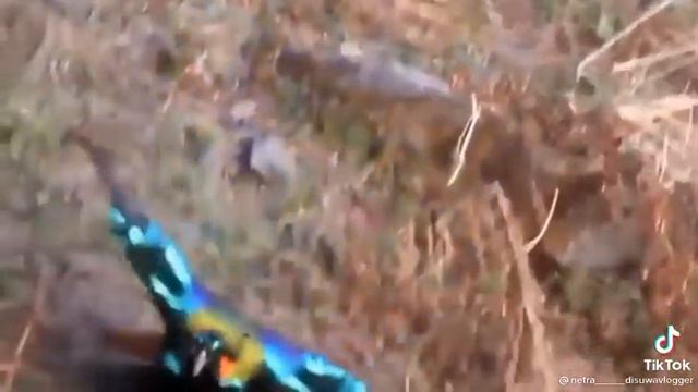 #$short@birad dance for danfe😃😃😃😋😋😋😋😋😋😋😋 смотреть онлайн