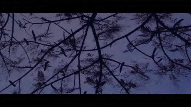 Neutrino - Tooth Paste (No More Heroes 2: Desperate Struggle)