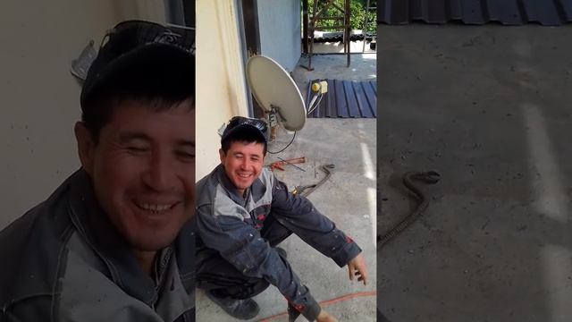 2 каватли навес. дух этажни навис