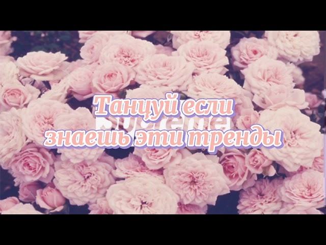 Танцуй если знаешь этот тренд тик ток//Тренды Тик Ток 2021 смотреть онлайн