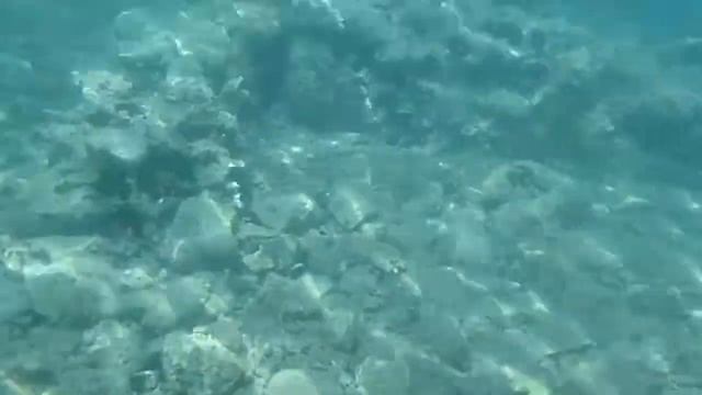 Sunken City of Ancient Epidaurus смотреть онлайн