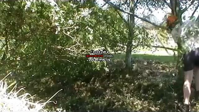 Regan VS Blackberry Bushes смотреть онлайн