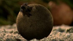 Планета динозавров 2 серия (документальный сериал, 2003)