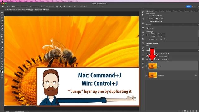 Photoshop for Photography: Filters смотреть онлайн