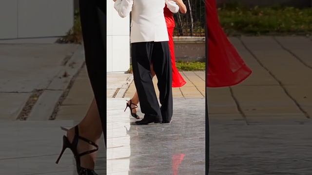 Tango Negro #tango #tangodance #milonga смотреть онлайн