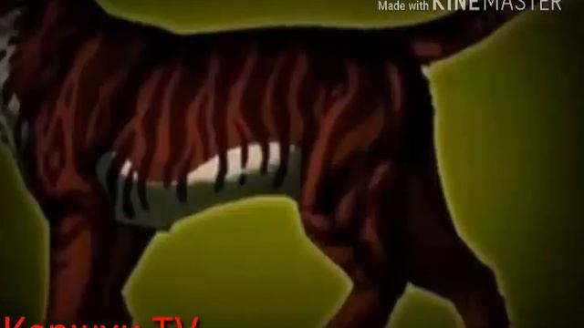 Коты-воители Коршун - ,,Тили- Тили- Бом" смотреть онлайн