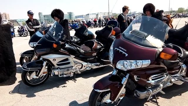 Байкер шоу Хабаровск Аксакалы смотреть онлайн