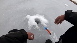 Ловля  карася зимой со льда. Как поймать и где искать карася зимой. Последний лёд!