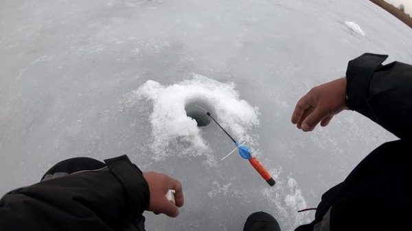 Ловля карася зимой со льда. Как поймать и где искать карася зимой. Последний лёд!