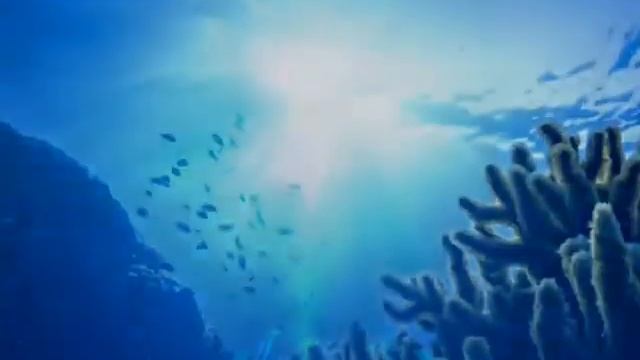 Легенда почему любовь слепа. смотреть онлайн