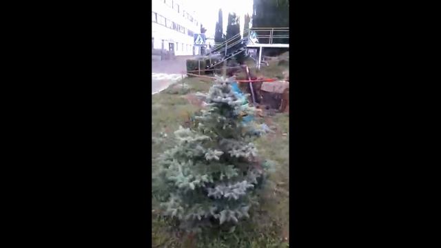 Отзыв клиента Прокол на 100 метров Ила 32Т смотреть онлайн