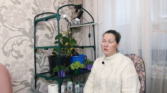 Стеллаж для рассады легко собрать. Удобно использовать дома и в саду смотреть онлайн