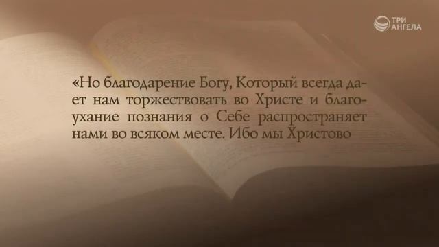 Наша самооценка смотреть онлайн