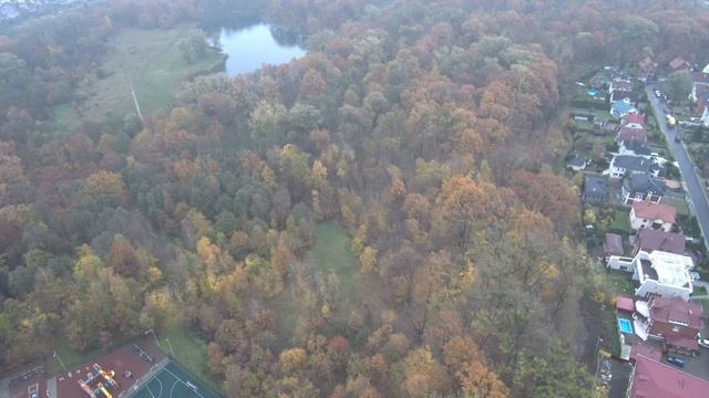 Макс Ашманн парк, озеро Лесное Калининград смотреть онлайн