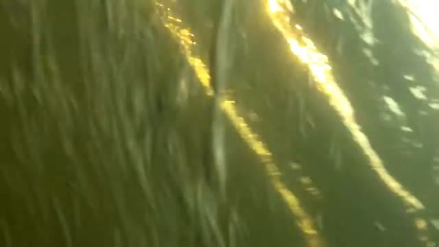 отдых над водой и под водой:D смотреть онлайн