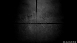 Отстрел крыс из пневматики rat hanting