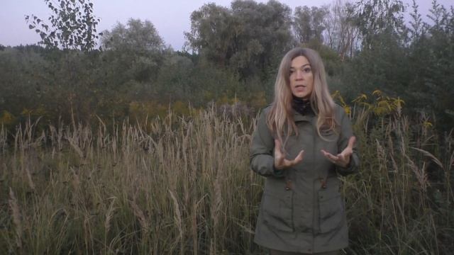 Облепиховый рай Сбор облепихи (Неизданное) смотреть онлайн