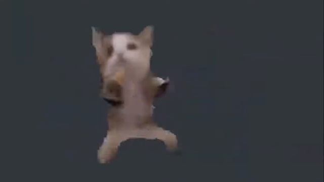 шни шна шнапи в хорошем качестве (1 час)