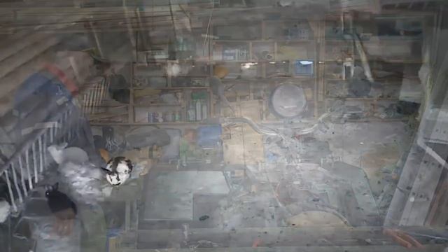 КАК ДОБРАТЬСЯ ДО ХУТОРА К КРОЛИКАМ смотреть онлайн