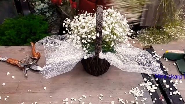 Букет из гипсофилы. DIY как сделать милый и бюджетный букет в корзинке #dryflower #gipsophila #fyp смотреть онлайн