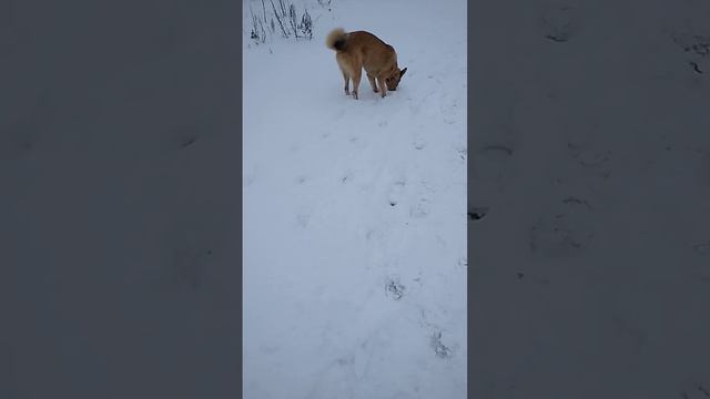 постоянно что-то ищет 22 ноября 2022 г. смотреть онлайн