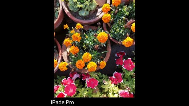 Apple iPad Pro 2021 vs Apple iPad Pro 2020 | Unboxing Review смотреть онлайн