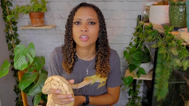 Biggest Mistakes New Ball Python Keepers Make смотреть онлайн