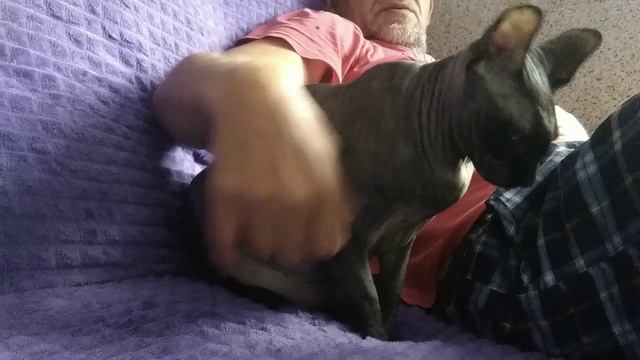 Друзья!!! как помириться с котом смотреть онлайн
