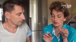 Как прививать сирень Мастер класс от Сергея Маринкова