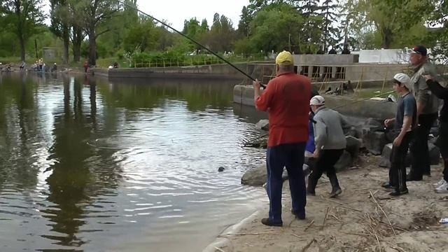 Улов Рыбная ловля Ловля карпа Карп в Днепре Супер улов смотреть онлайн