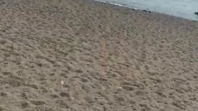 TURKEY! LAGUNA BEACH ALYA RESORT & SPA. ALANYA ! ОТДЫХ в ТУРЦИИ.@ranokamolova