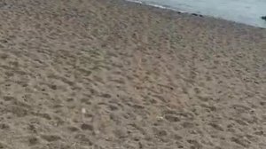 TURKEY! LAGUNA BEACH ALYA RESORT & SPA. ALANYA ! ОТДЫХ в ТУРЦИИ.@ranokamolova