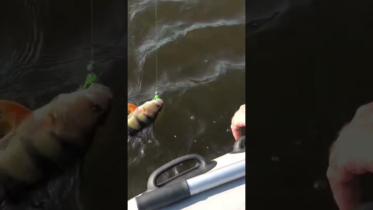 Ловля окуня на джиг