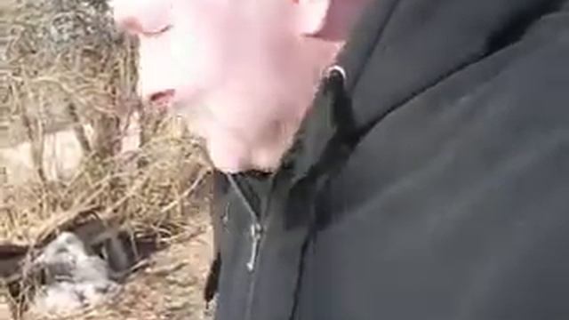 Hillar Kohv: Lännikuid tagudes võib ka bändi kokku panna, nagu meeleavaldusel esitleti смотреть онлайн