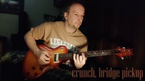 EVERLONG comparison of ESP LTD EC-1000T & PRS SE 245