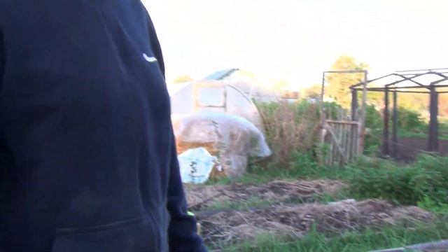 Картошка посажена Про землянику Итоги дня смотреть онлайн