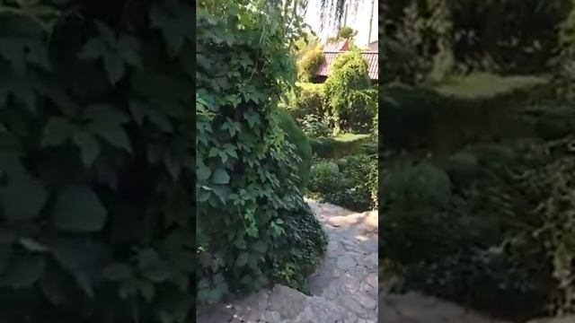 Крым Казантип Алекс дача на море лето 2018 смотреть онлайн