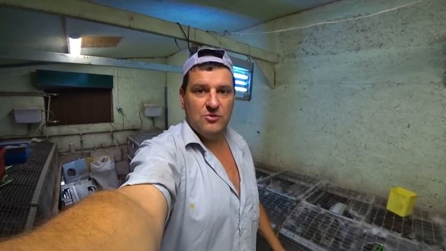 ОКРОЛЫ, ЖАРА, ИНДЮКИ смотреть онлайн