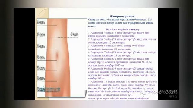 Жүктілік физиологиясы. Жүктілікті триместр бойынша жүргізу. смотреть онлайн