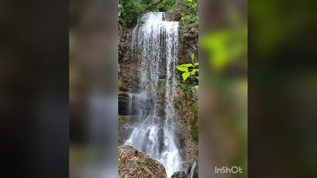 «Мир природы нашими глазами» смотреть онлайн