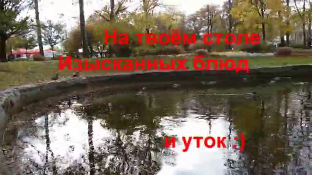 Поздравление Александра Глушкова от Матвеевых смотреть онлайн