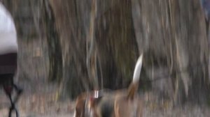 Тест Panasonic HC-V750