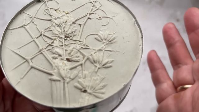 БОТАНИЧЕСКИЙ БАРЕЛЬЕФ смотреть онлайн