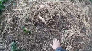 Кормушка для кабана. Охота на кабана.#Охотанакабана.