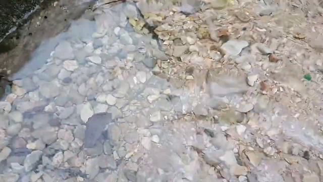 Чистый горный лесной ручей смотреть онлайн