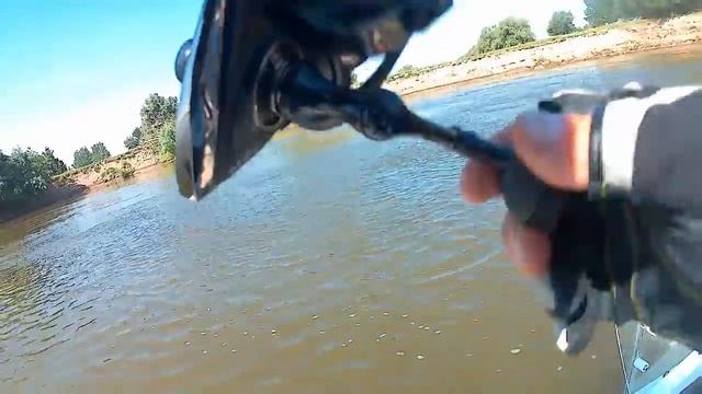 рыбалка в Астрахани с семьёй смотреть онлайн